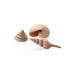 biOrb Sea Shells Natural