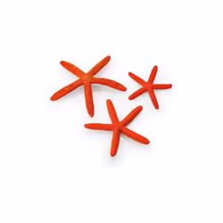 biOrb Starfish Set, Red