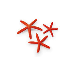 biOrb Starfish Set, Red