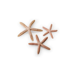 biOrb Starfish Set, Natural
