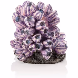 biOrb 48359 Ornament Tendril Grape