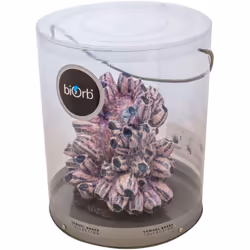 biOrb 48359 Ornament Tendril Grape