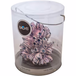 biOrb 48359 Ornament Tendril Grape