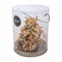 biOrb Coral Shell Ornament Natural