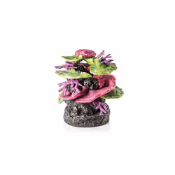 biOrb 48361 Coral Rock Ornament, Green/Purple