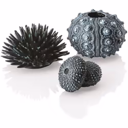 biOrb Sea Urchins Set, Black
