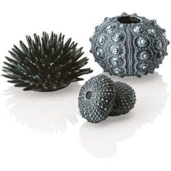 biOrb Sea Urchins Set, Black