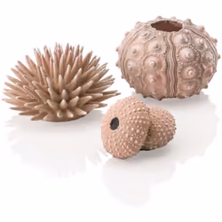 biOrb Sea urchins Set, Natural