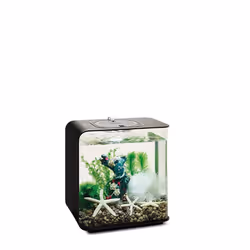 biOrb Decor Set 15L Flower Garden