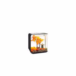 biOrb Decor Set 30L Autumn