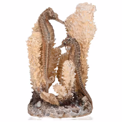 biOrb Ornament Seahorses on Coral Natural Small