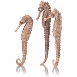 biOrb Seahorse 3 Pack Natural