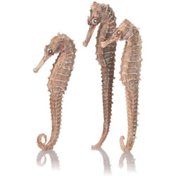 biOrb Seahorse 3 Pack Natural