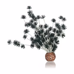 biOrb Bonsai Ball Black