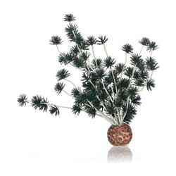 biOrb Bonsai Ball Black