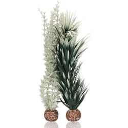 biOrb Ambulia Grey/Green Small