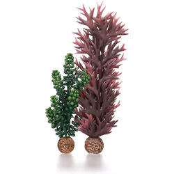 biOrb Seapearls & Kelp Olive Green
