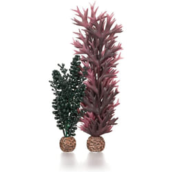 biOrb Seapearls & Kelp Dark Green