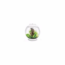 BiOrb Classic 30L Aquarium in White with MCR LED Lighting
