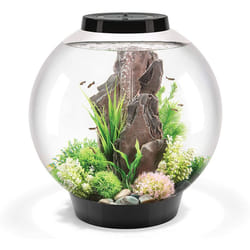 biOrb Classic 60L Black LED Aquarium Fish Tank