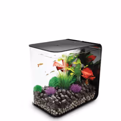 biOrb Flow Aquarium, 30 Litre, Black, LED Light