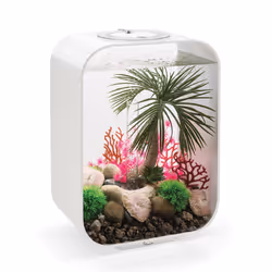 Oase BiOrb Plate Coral Set of 3 Fish Tank Ornament Aquarium Decorations