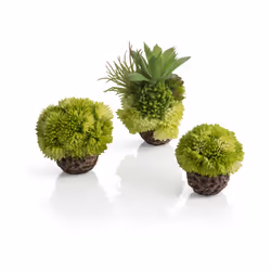 Oase biOrb Aquarium Decorative Coral Ball Set - Green