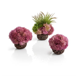 Oase biOrb Aquarium Decorative Coral Ball Set - Purple