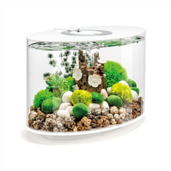biOrb Loop 15L Fish Aquarium MCR Lighting LED White
