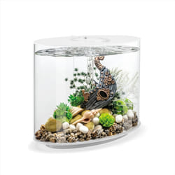 biOrb Loop 30L Fish Aquarium MCR Lighting LED White