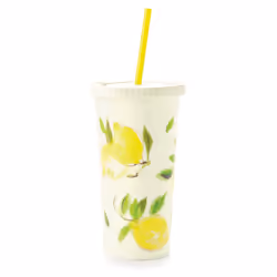 Kate Spade New York Insulated Tumbler with Reusable Straw  20 Ounce Tr