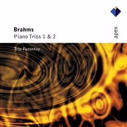 Warner Music Trio Fontenay - Brahms: Piano Trios 1 & 2, CD, Classic, CD, Trio Fontenay, Physical media, Adult, 1 discs