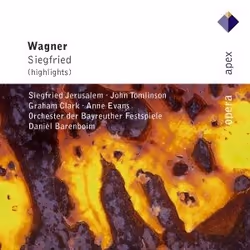 Warner Music Daniel Barenboim - Wagner: Siegfried, CD, Classic, CD, Daniel Barenboim, Physical media, Adult, 1 discs