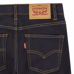 Levi's Boys' 510 Skinny Fit Performance Jeans  Roadhouse Blues Eco  16