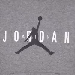 Nike Jordan Boys' Fleece Pullover Hoodie (Carbon Heather  Large)