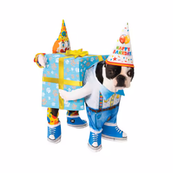 Birthday Carry Pet Costume