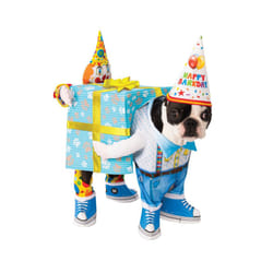 Birthday Carry Pet Costume