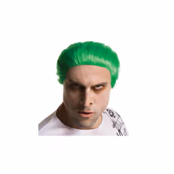 Official Joker Wig