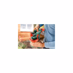 Bosch Home and Garden Electric Paint Spray System PFS 3000-2 (650 W, Hose length: 2.0 m, in carton packaging)