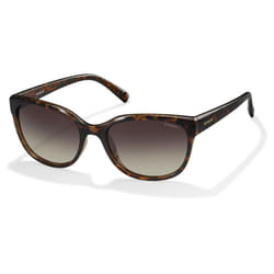 Polaroid PLD4030/S Q3V/LA Dark Havana/Brown Gradient Polarised Sunglasses