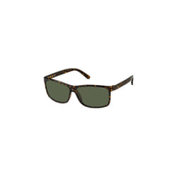 Sun glasses man Polaroid brown