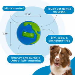 Outward Hound by Planet Dog Orbee-Tuff Planet Ball Blue/Green Treat-Dispensing Dog Toy  Small