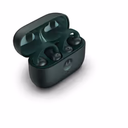 Motorola moto buds loop Headphones Wireless In-ear Calls/Music/Sport/Everyday Bluetooth Green
