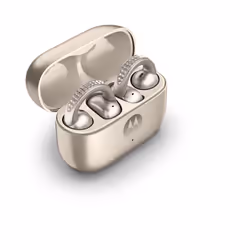 Motorola moto buds loop Headphones Wireless In-ear Calls/Music/Sport/Everyday Bluetooth Beige