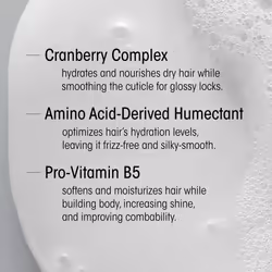 ORIBE Supershine Hydrating Shampoo