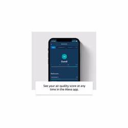 Smart Air Quality Monitor Know your air Works with Alexa Certified for Humans device