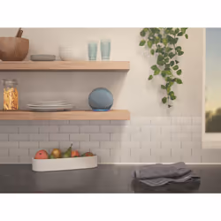 Amazon Echo