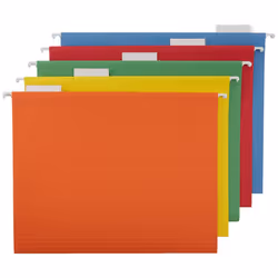 Amazon Basics Hanging Organizer File Folder  Letter Size  Assorted Colors - Pack of 25