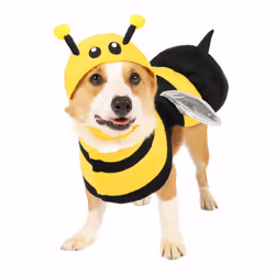 Spooktacular Creations YS-0369-UA2C, Fancy costume, S