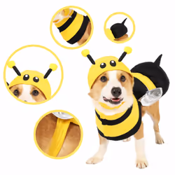 Spooktacular Creations YS-0369-UA2C fancy dress Fancy costume